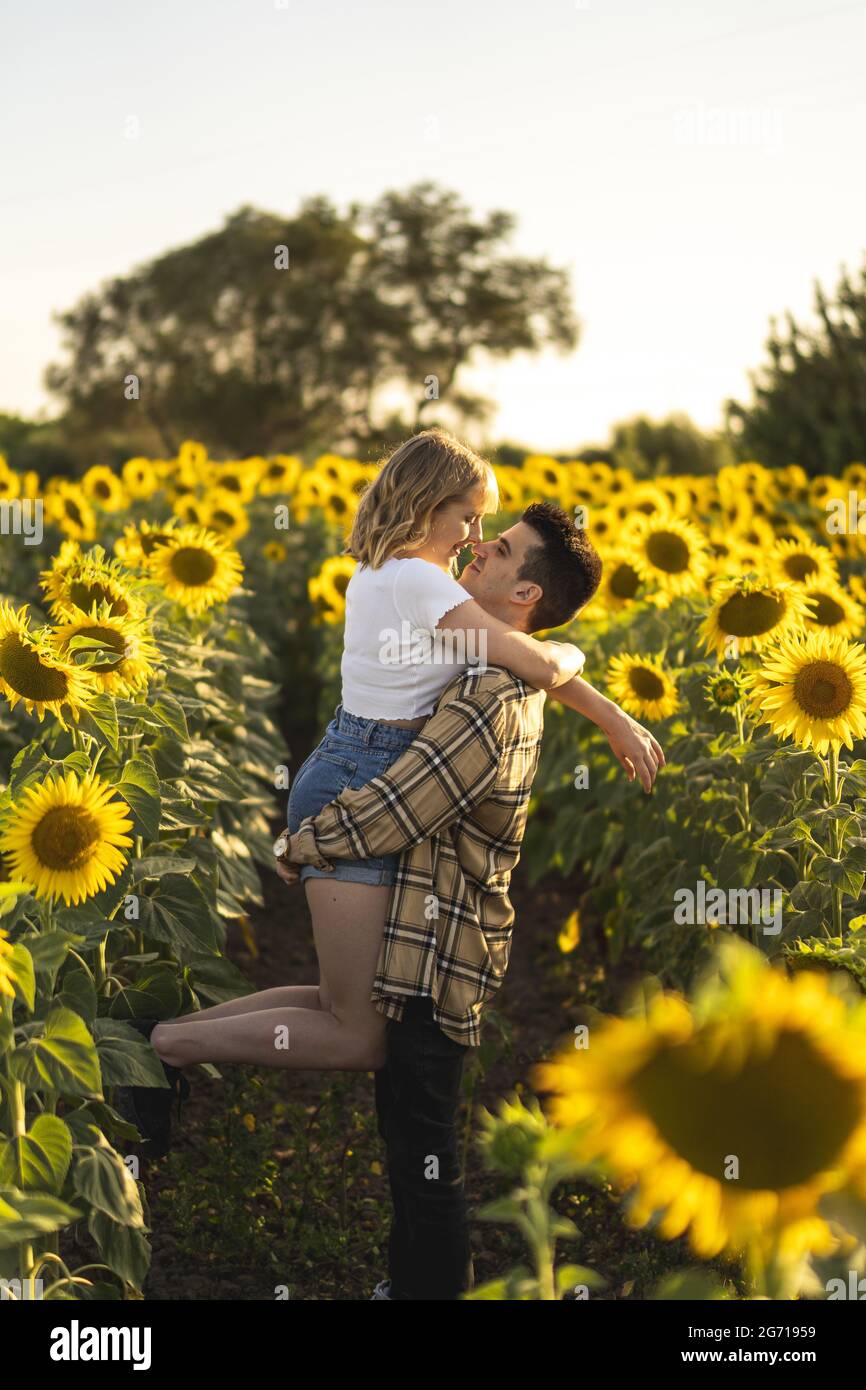 Vertical shot of a Caucasian lovely couple at the sunflowers field in ...