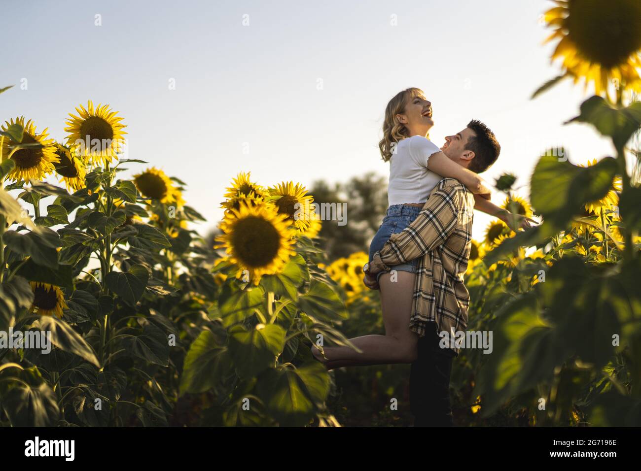 Closeup shot of a Caucasian lovely couple at the sunflowers field in ...