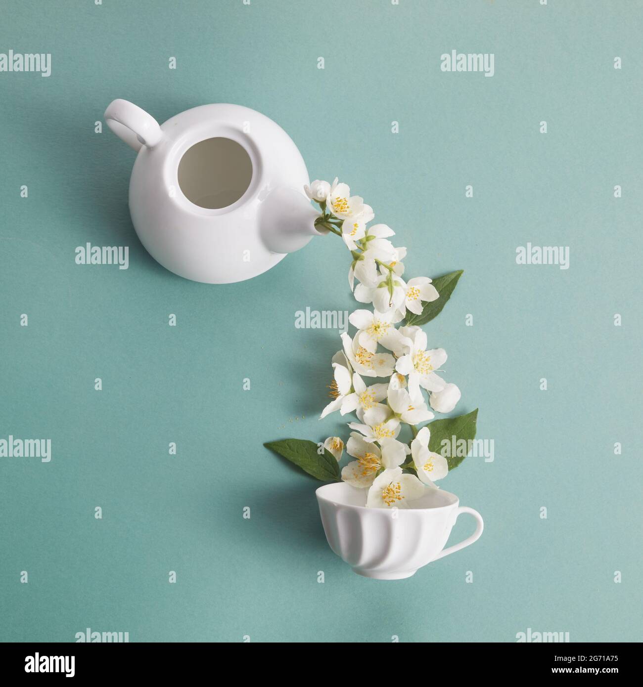Tea Flower in a Clear Teapot Stock Photo by aetb