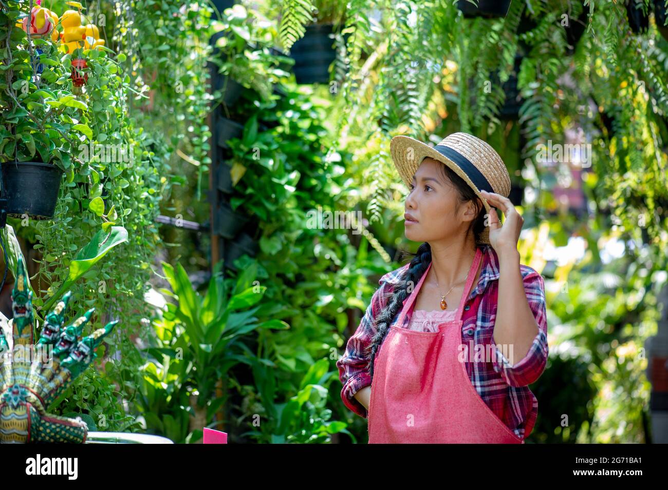 Young Asian woman caring for plants in a small garden shop. Holding a potted white hydrangea plant watering flower pots. Sitting on knees in the walkw Stock Photo
