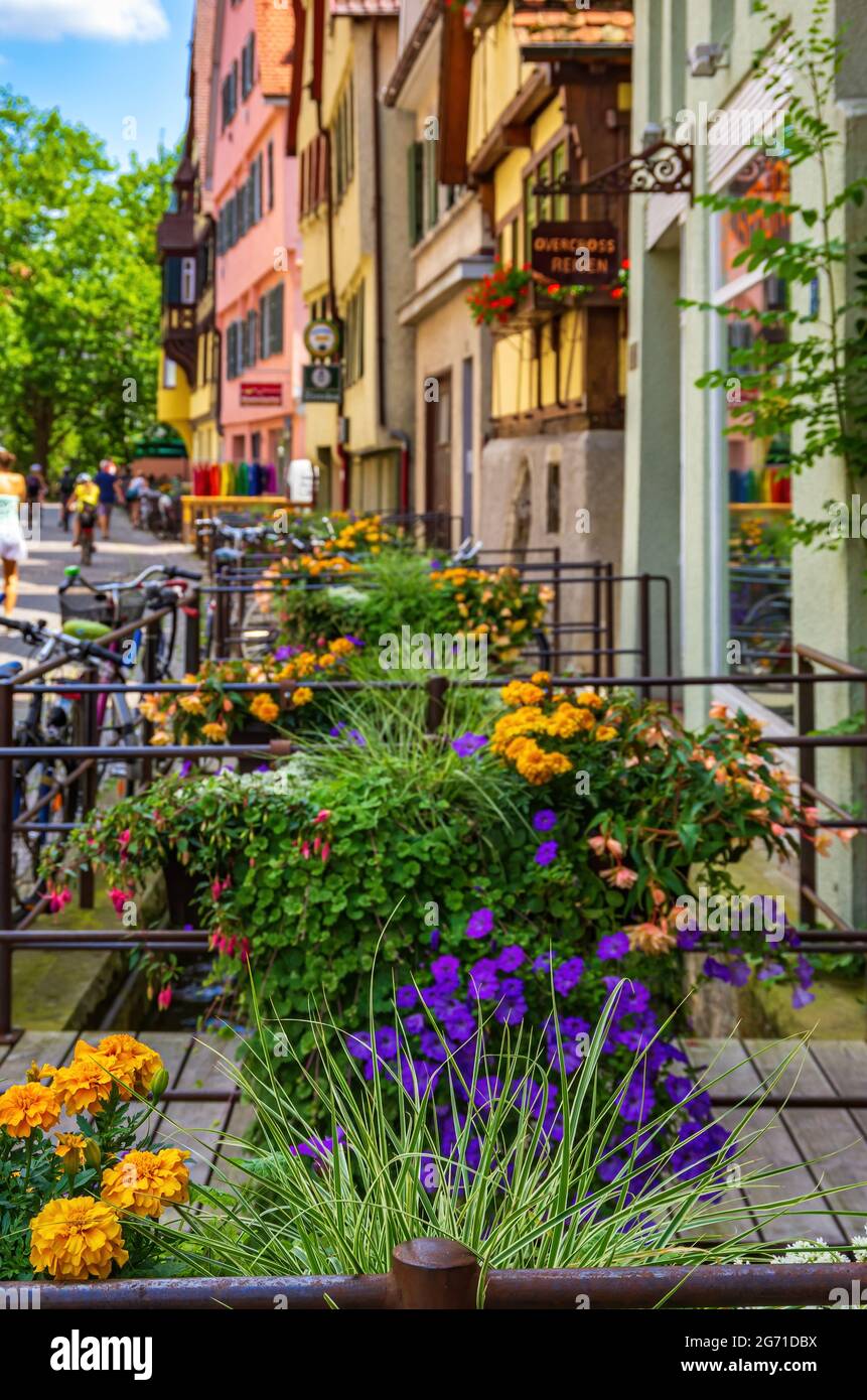 Tübingen, Baden-Württemberg, Germany: Street scene on Ammergasse with passers-by and shops as well as colourful flower decorations. Stock Photo