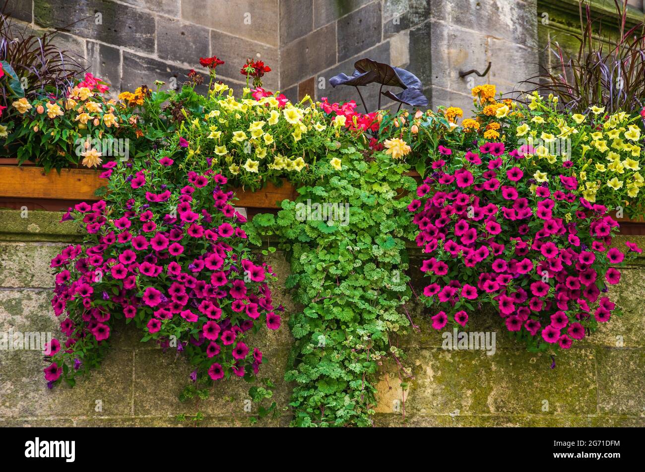 Planters box hi-res stock photography and images - Alamy