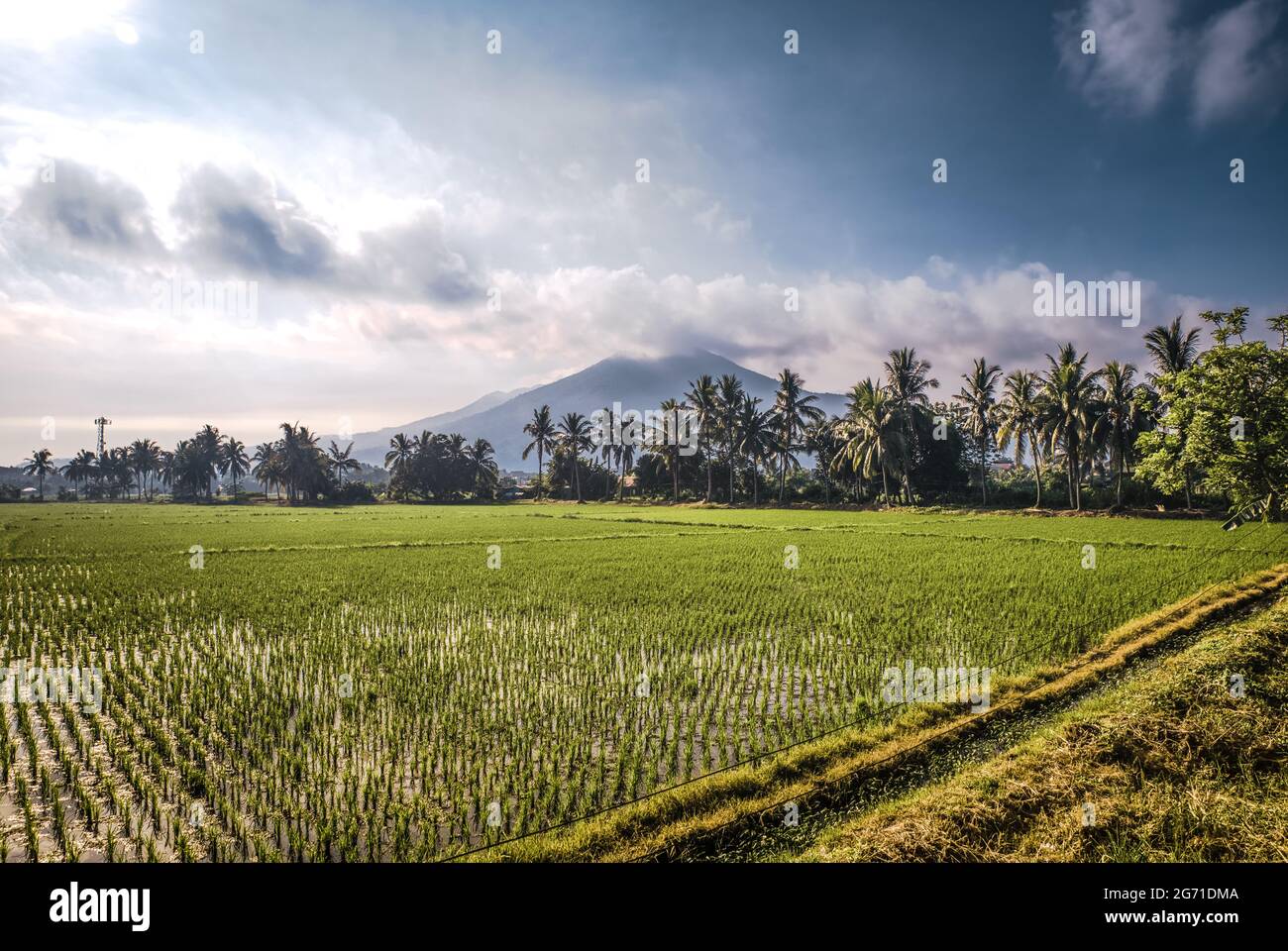 Philippine countryside hi-res stock photography and images - Alamy