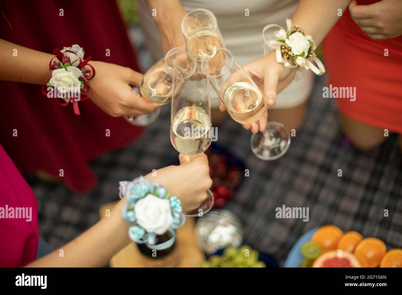 The girls are knocking glasses of wine. Picnic in nature. Stock Photo