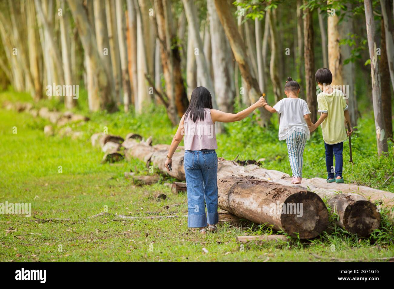 Mother hold her kids hand walking on timber wood logs in nature. Stock Photo