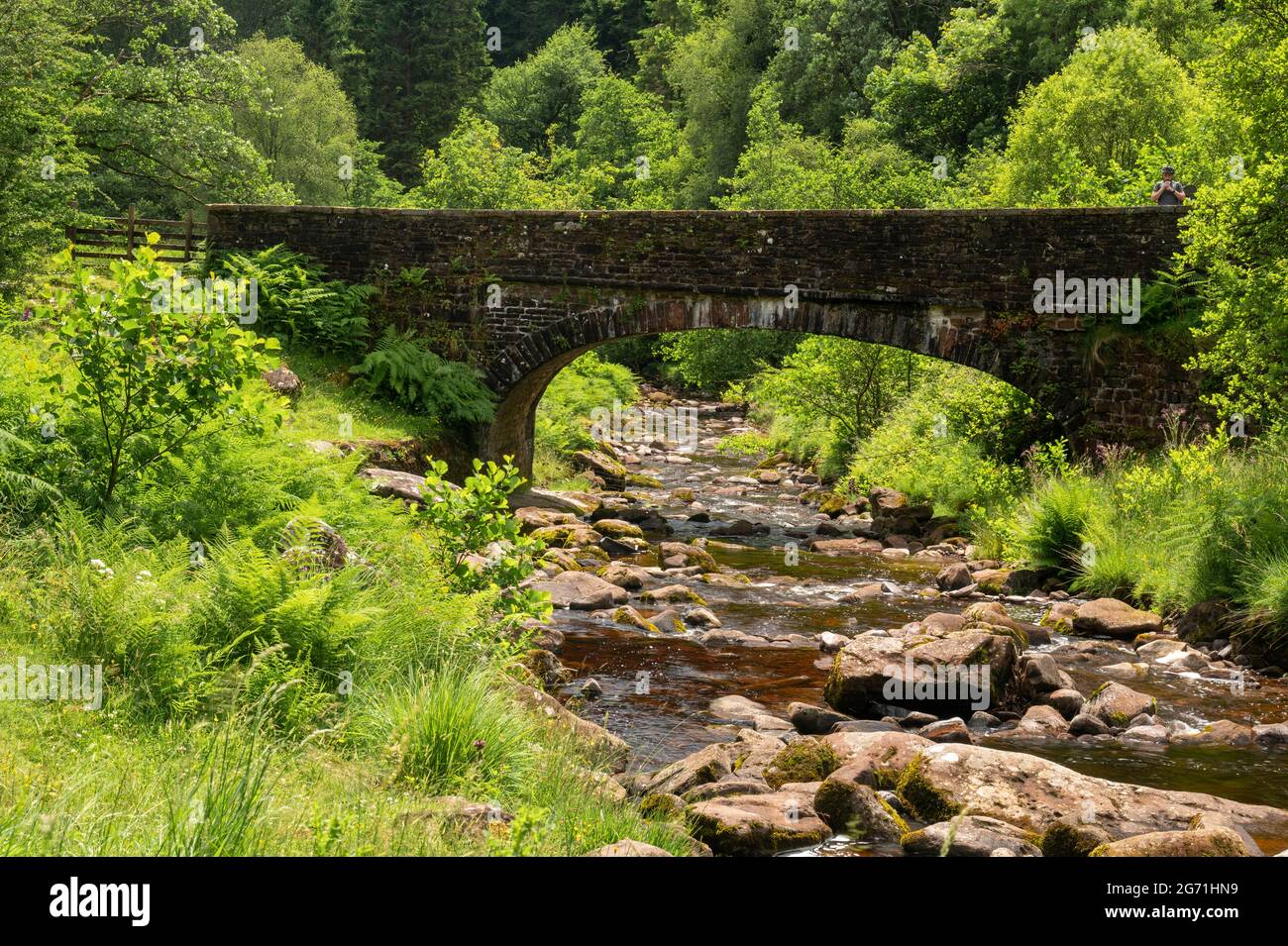 A view of a stone bridge over a rocky stream with greenery along the bank with a man standing on bridge Stock Photo