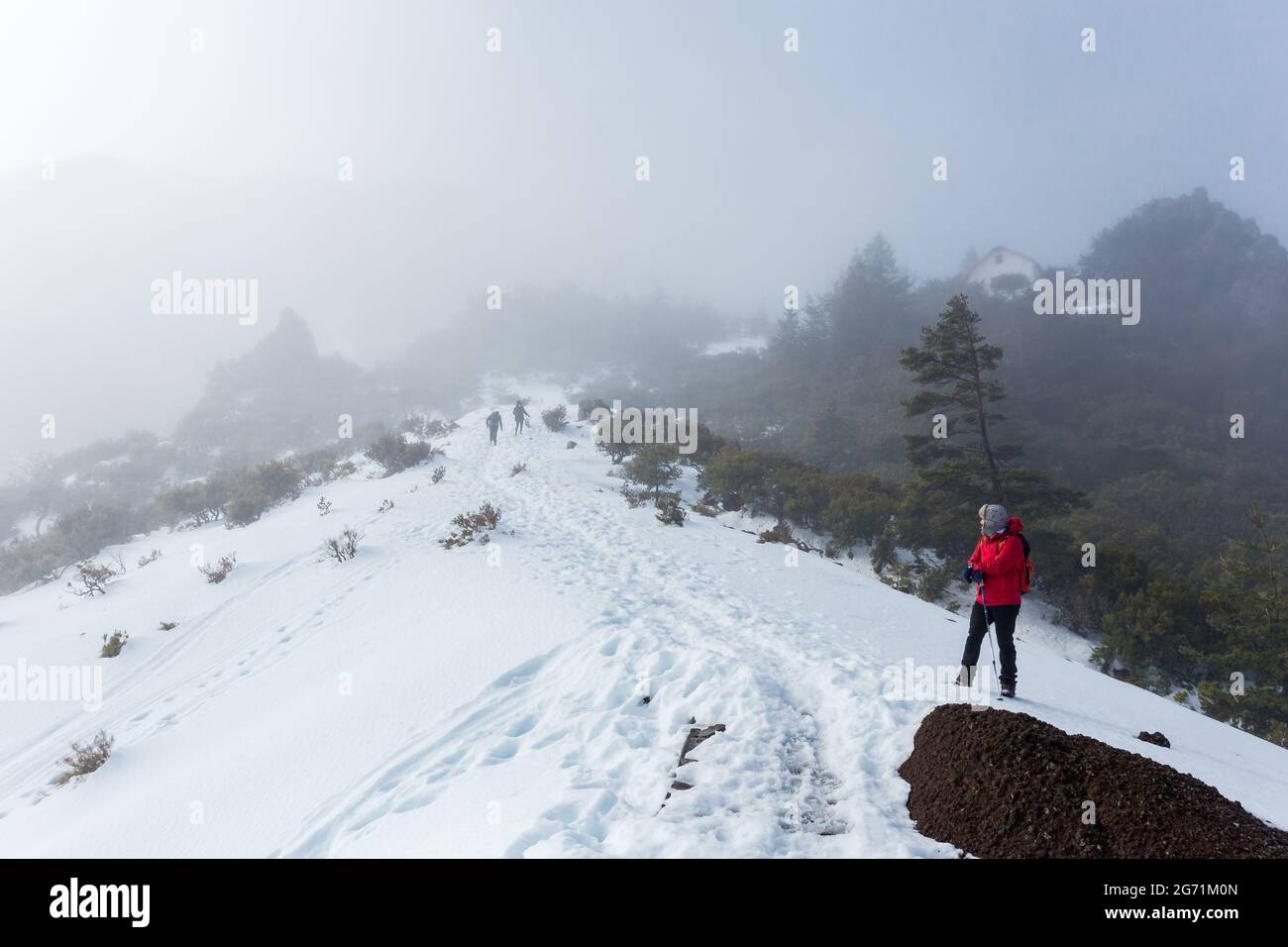Tourists hiking in Pico Ruivo footpath covered with snow in Santana