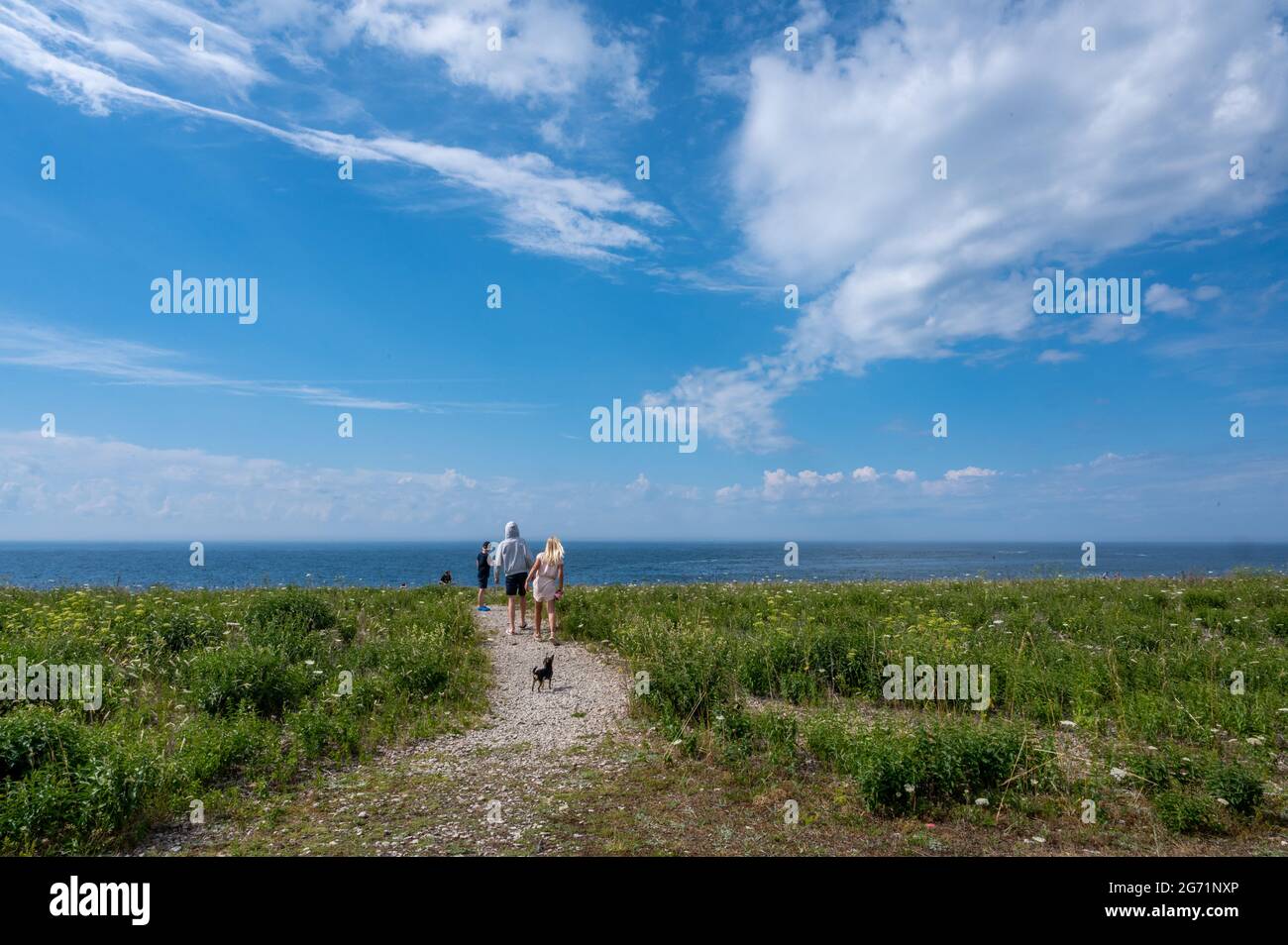 Characteristic landscape at Neptuni Åkrar on the northwest coast of Swedish Baltic Sea island Öland. This is known as the island of sun and wind. Stock Photo