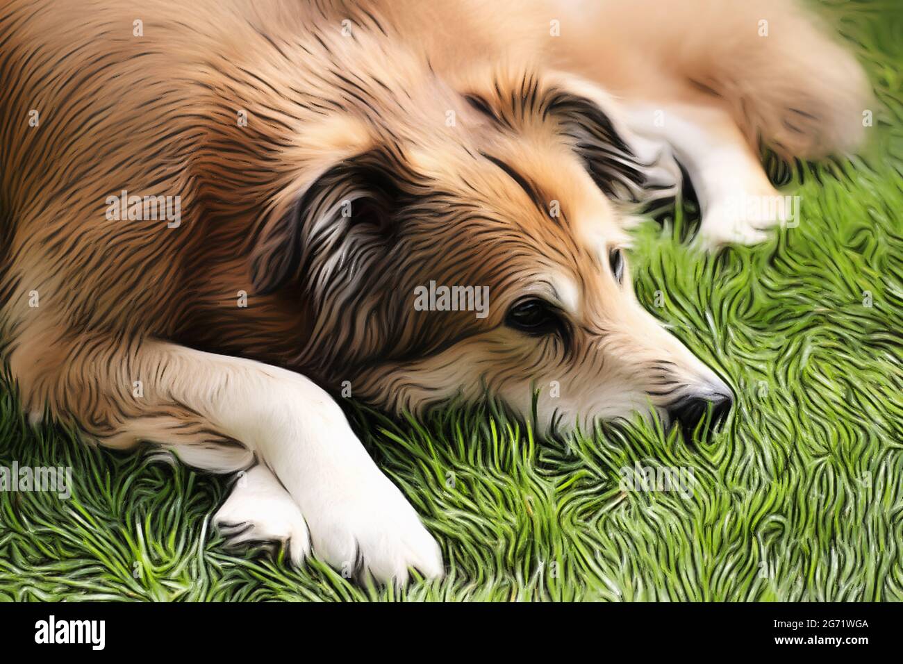 Portrait shot of a mixed breed dog from Romania in the garden at spring time in the style of a soft drawing with acrylic paints Stock Photo