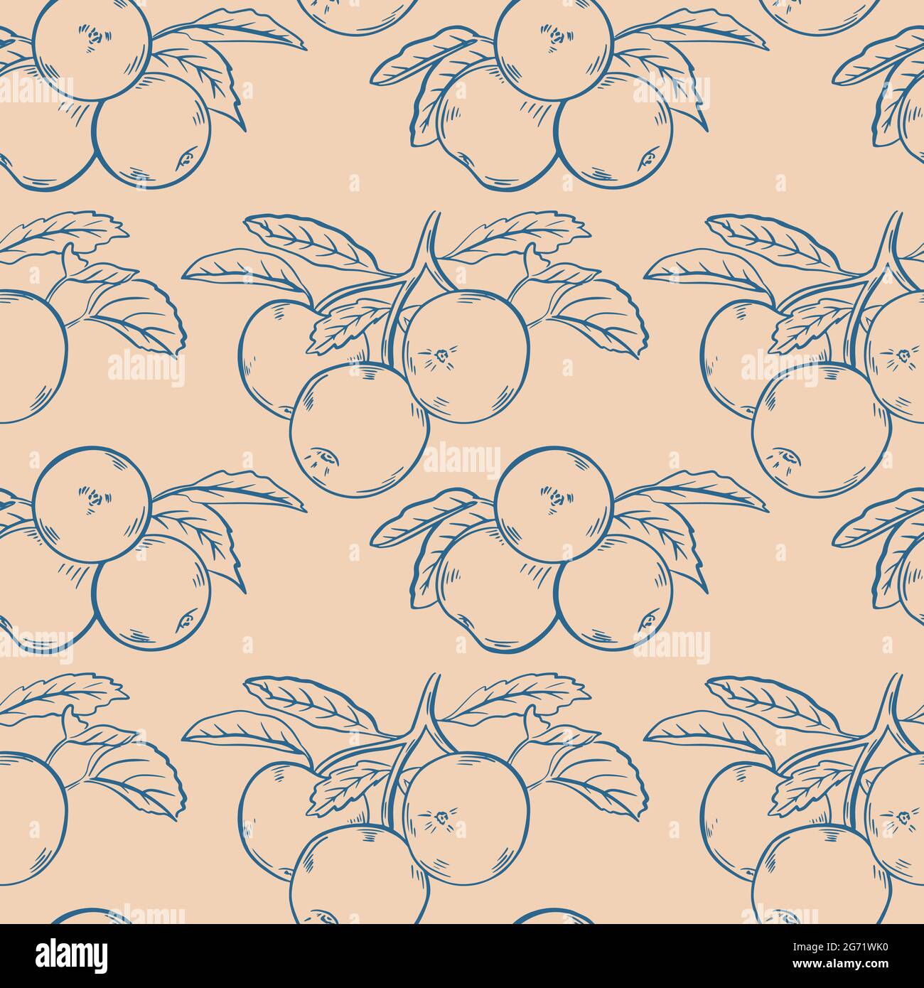 Sketch apples seamless pattern, vector illustration. Fruit on a branch with leaves, vintage graphic background. Healthy organic food. Stock Vector