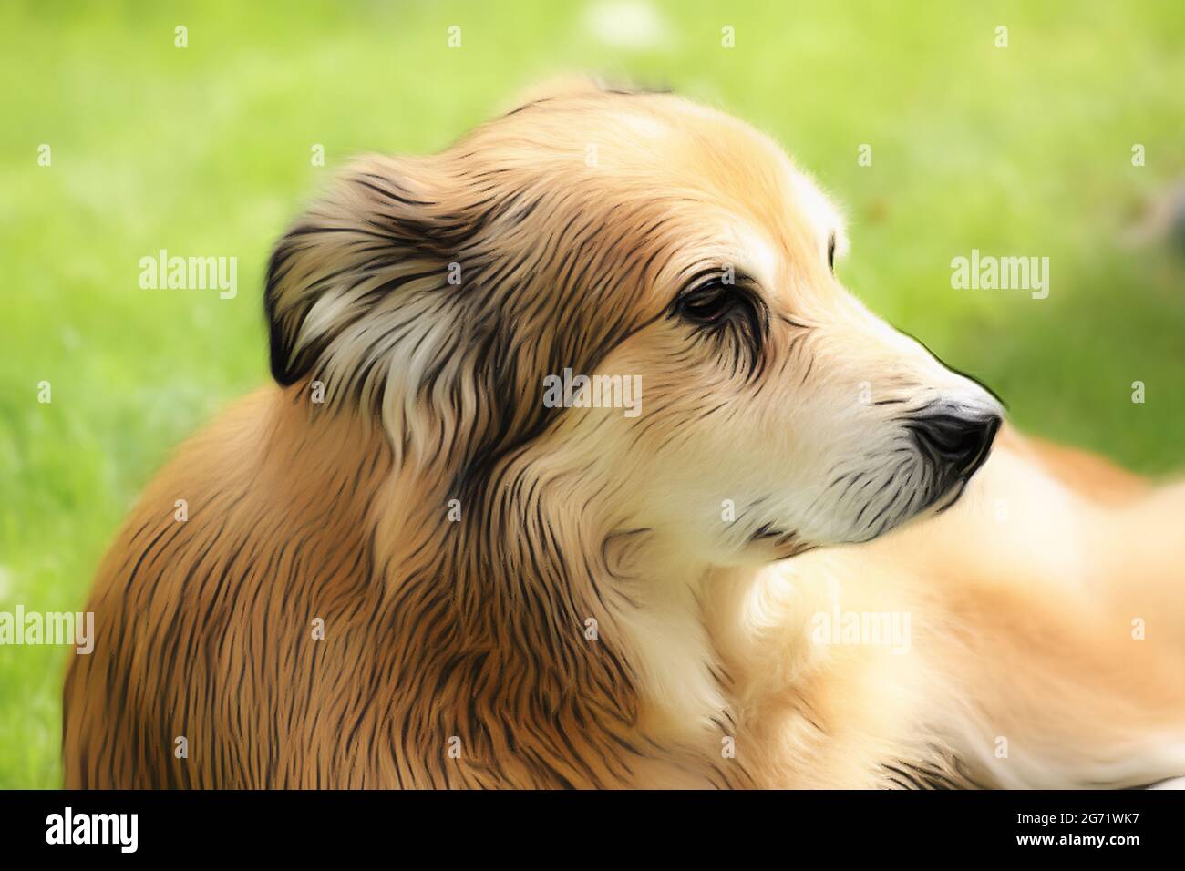 Portrait shot of a mixed breed dog from Romania in the garden at spring time in the style of a soft drawing with acrylic paints Stock Photo