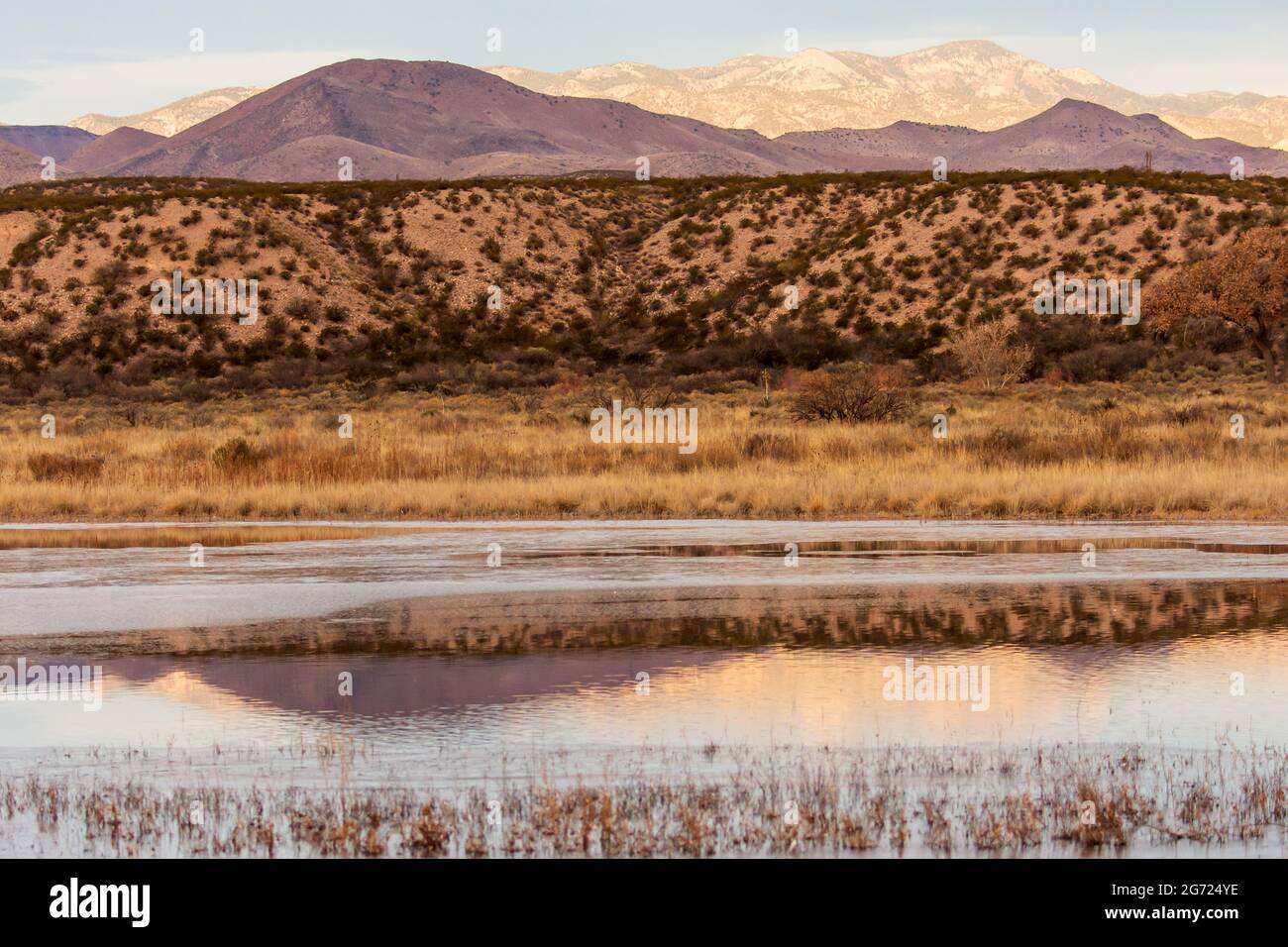 Bosque del Apache, New Mexico Stock Photo Alamy