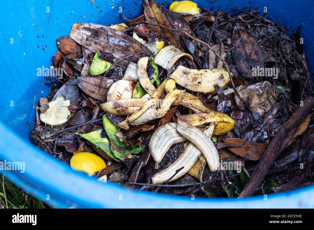 Banana peel added as part of organic green ingredients in compost bin