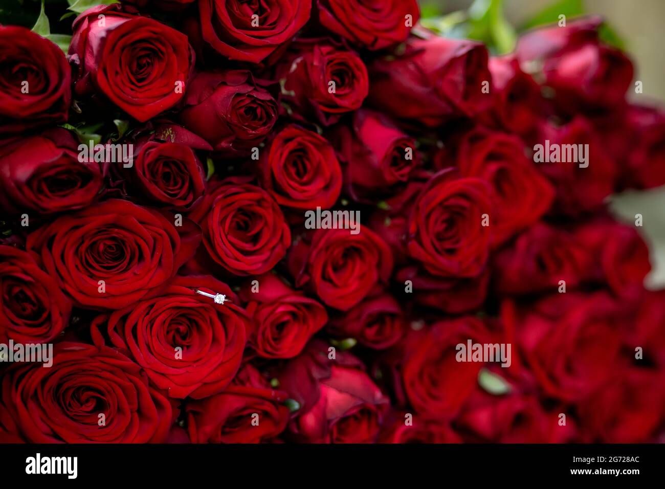 Red Roses Rng Engagement ring in red roses , gold ring with diamond Stock Photo - Alamy