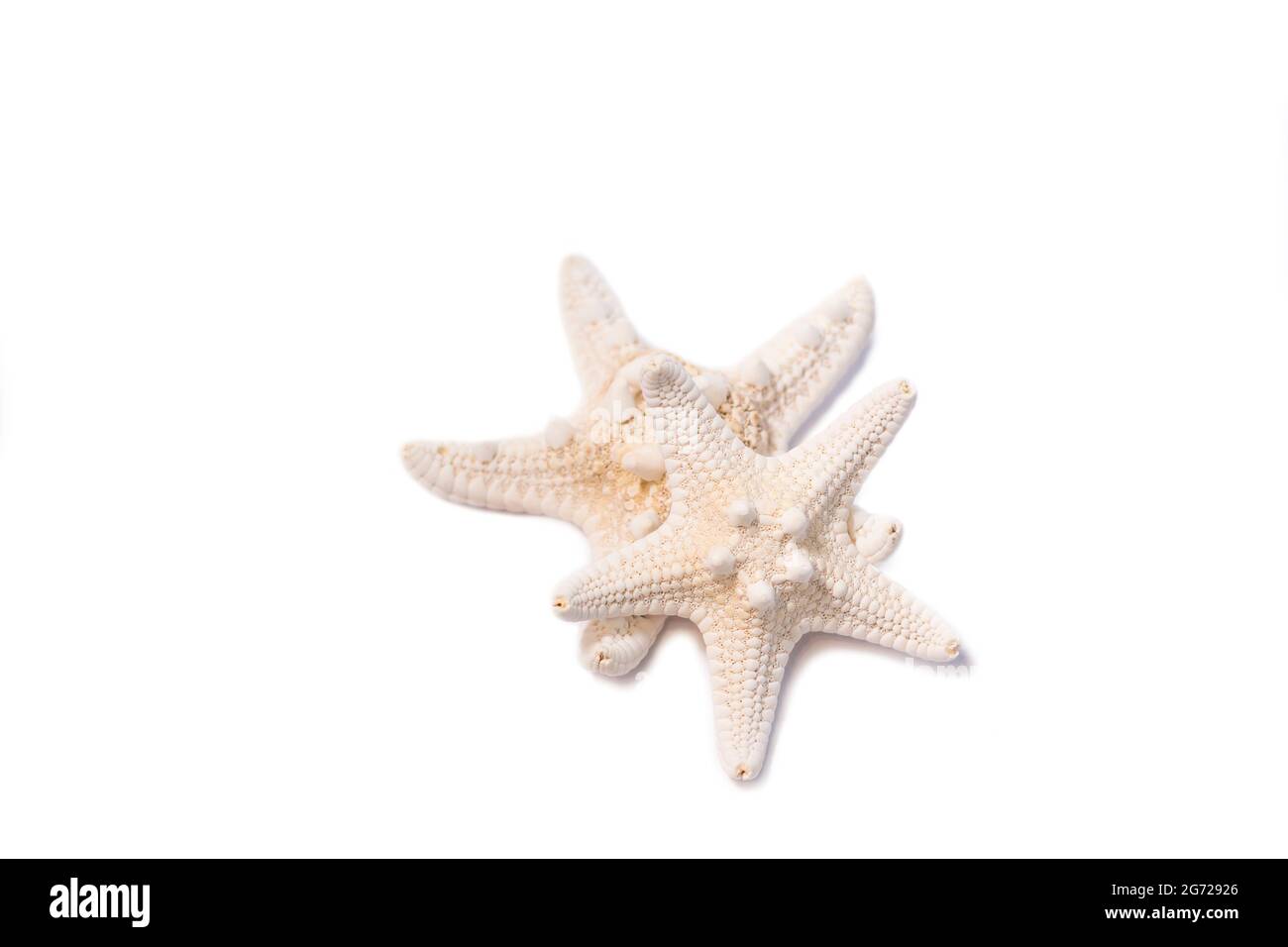 Two Starfish isolated on white background. Stock Photo