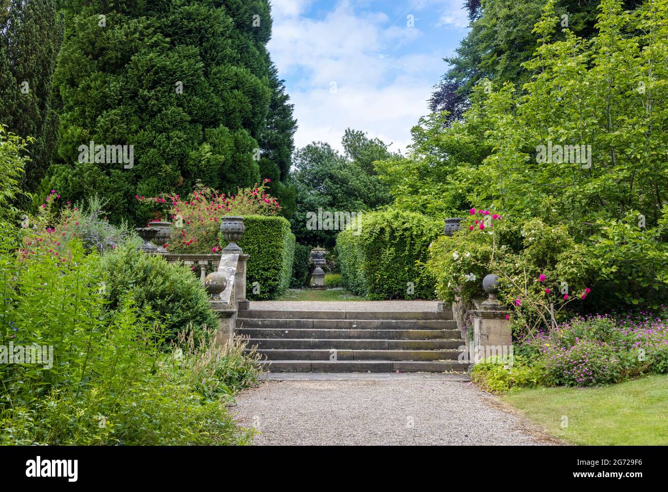 Old stone terraced garden steps and balustrade with decorative planters in a park. Stock Photo