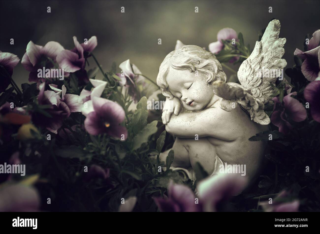 Guardian angel and spring flowers Stock Photo Alamy