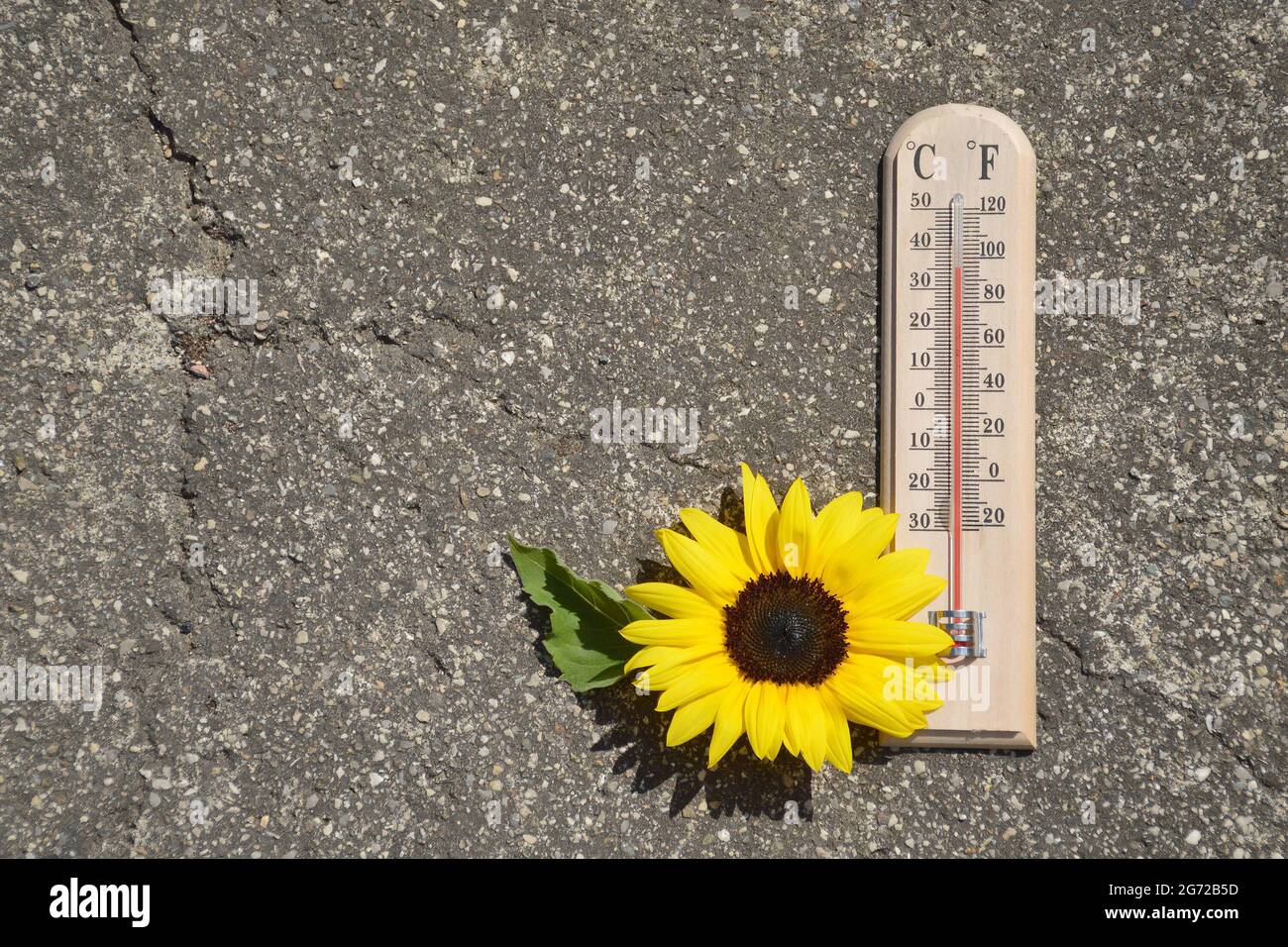 Thermometer on concrete background showing high temperature. Summer heat concept Stock Photo