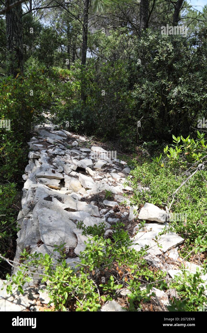 Ancient dry stone pre-Roman path in the Garrigue woods where 17th century structures known as capitelles are found, Congenies, Gard, Occitania, France Stock Photo