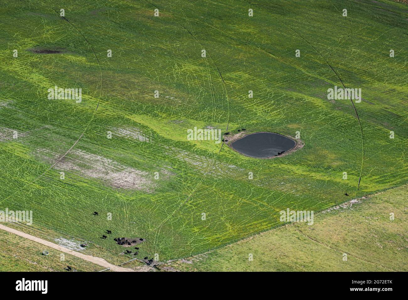 Aerial view of rural farmland in Bridport, Tasmania, Australia Stock