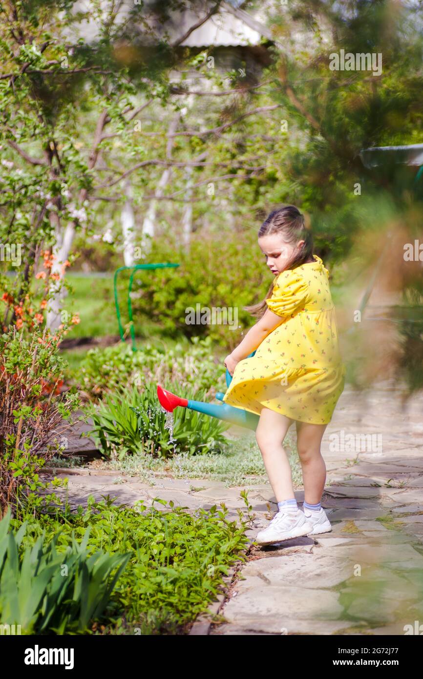 a six-year-old child in a dress swaying in the wind waters flowers from a garden watering can surrounded by spring flowering trees and bushes on a Stock Photo