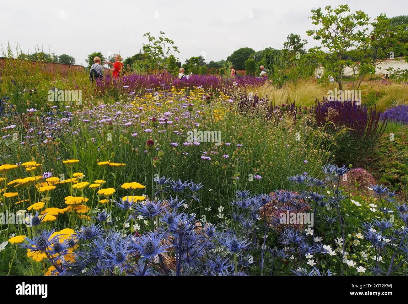 View of the walled garden at RHS Bridgewater Garden in Salford ...