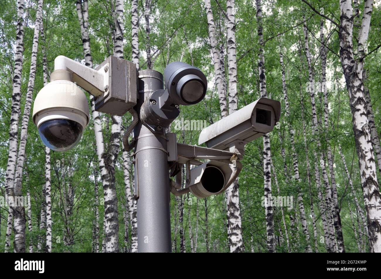 Many CCTV cameras on the background of a birch grove. Big brother concept. Face recognition. No privacy. Stock Photo