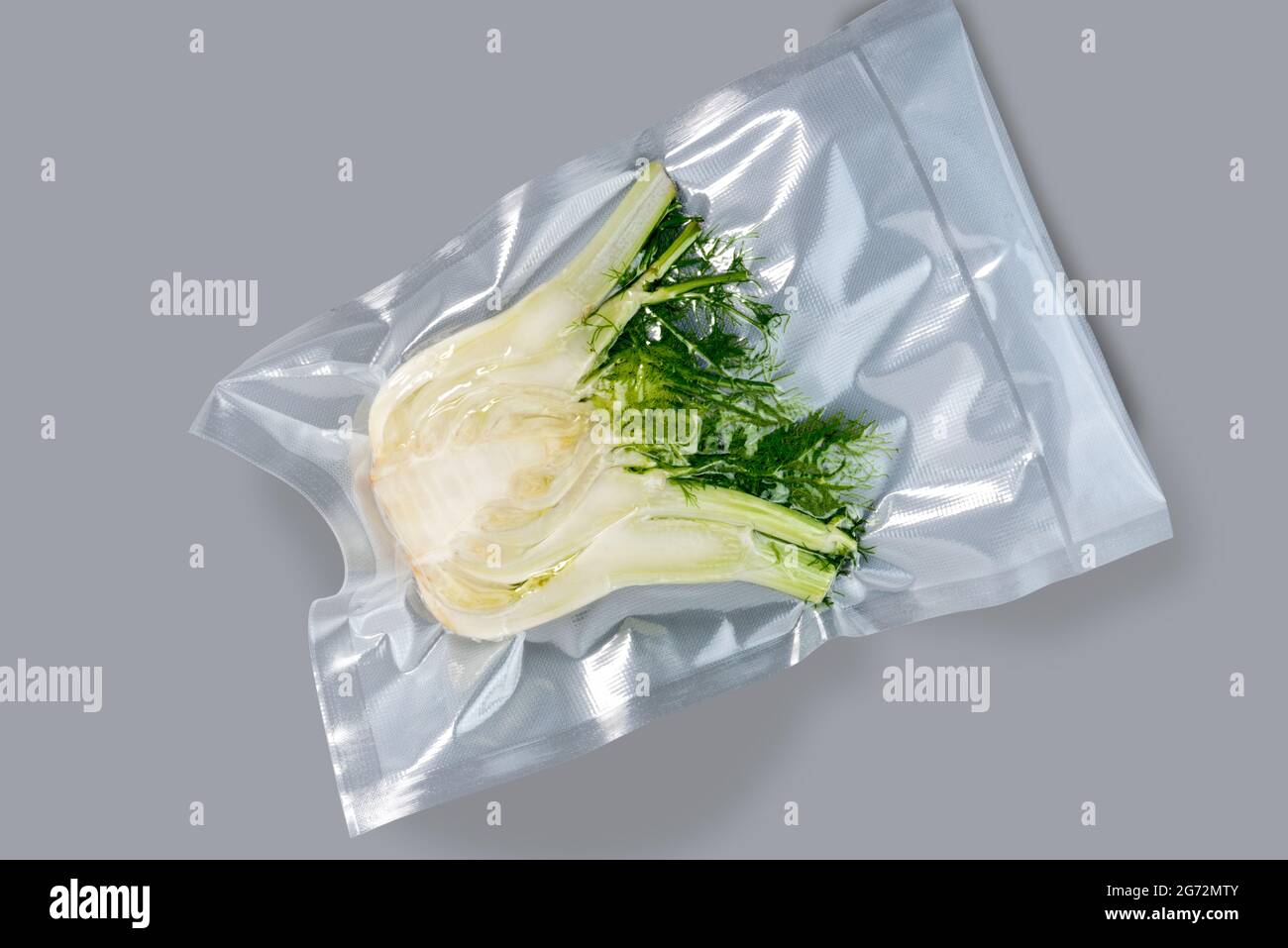 Fennel bulb in vacuum packed sealed for sous vide cooking, isolated on