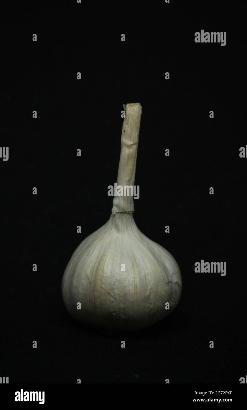 Small white garlic with Black background Stock Photo
