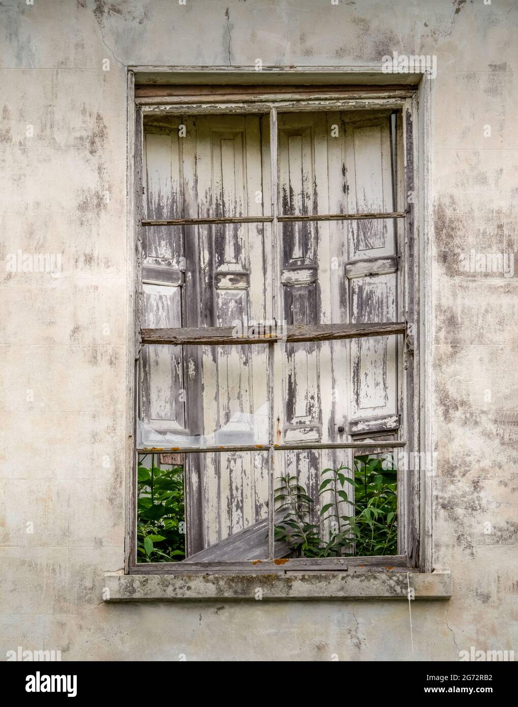 Old window, no glass, broken wooden shutters in dirty, neglected white wall. Stock Photo
