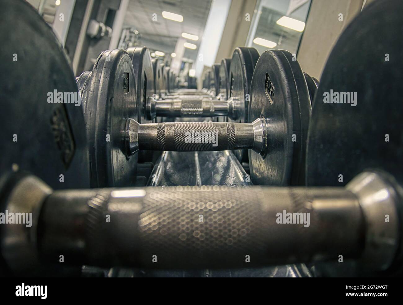 Gym, heavy dumbbells, extreme close up template. Close up artistic shot with narrow depth of field, body building concept Stock Photo