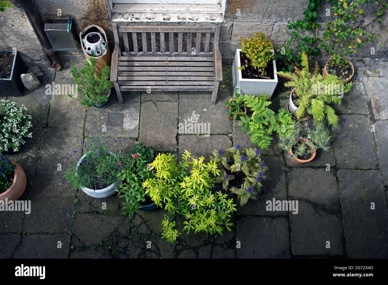 Basement Garden High Resolution Stock Photography and Images - Alamy