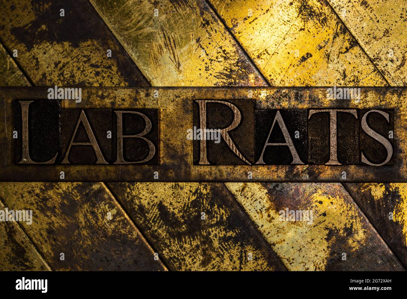 Lab Rats text on vintage textured grunge copper and gold background