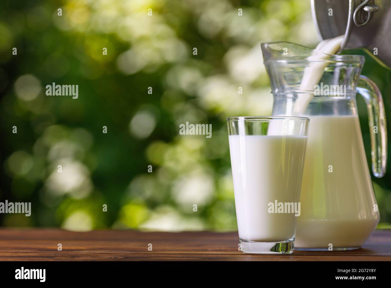 milk pouring from metal can into glass jug outdoors Stock Photo