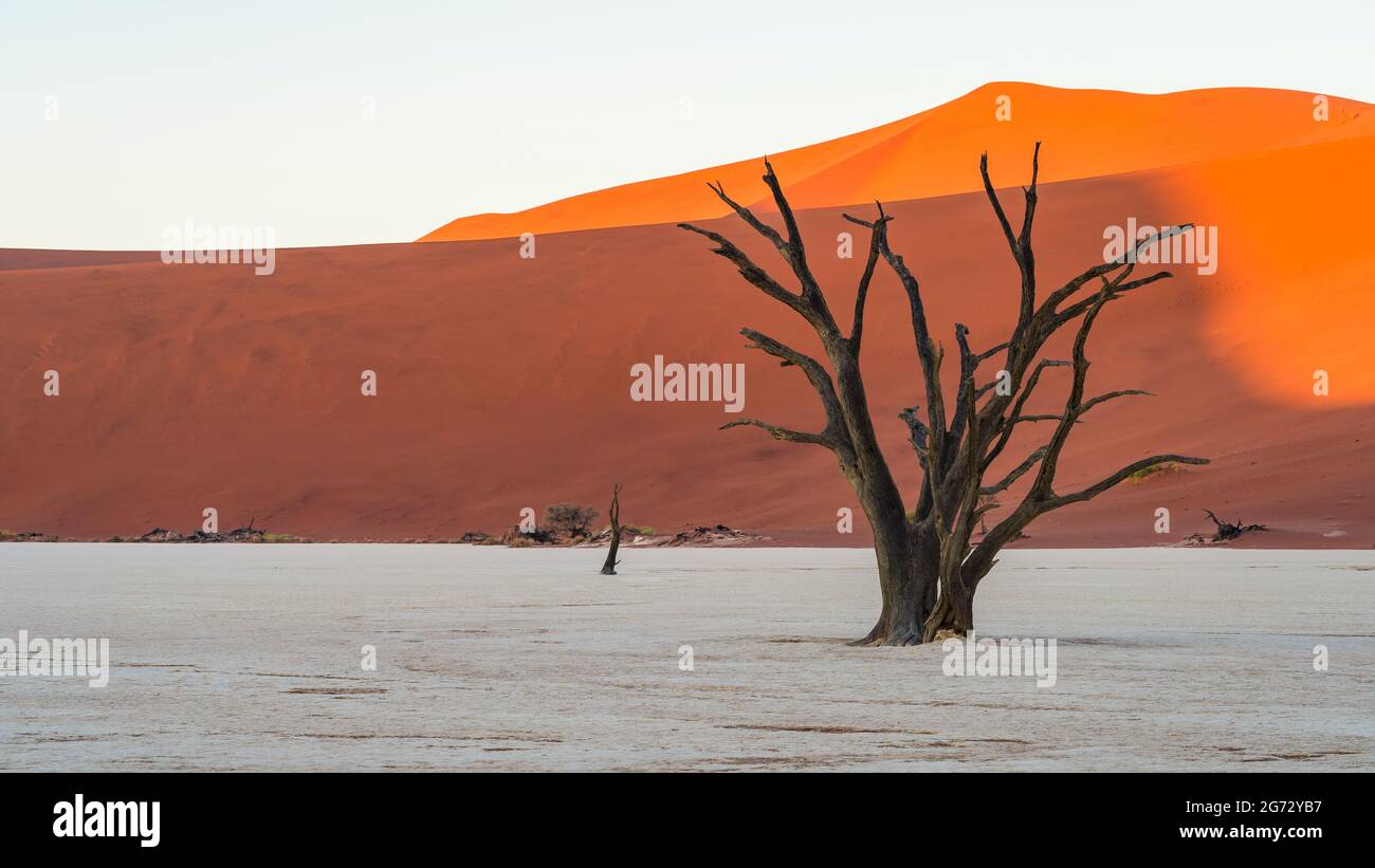 Africa desert hi-res stock photography and images - Alamy