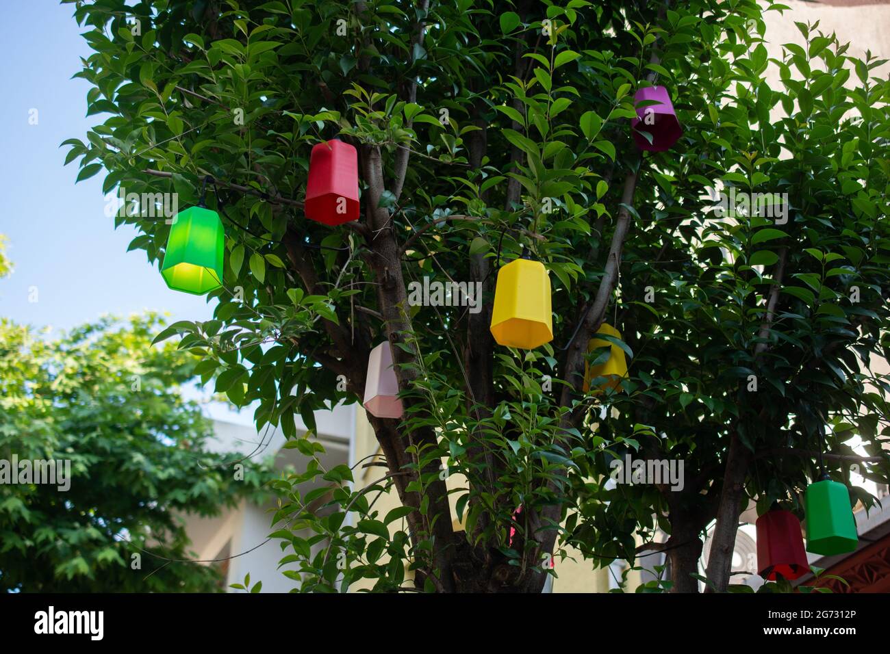 Lanterns hanging on tree hi-res stock photography and images - Alamy