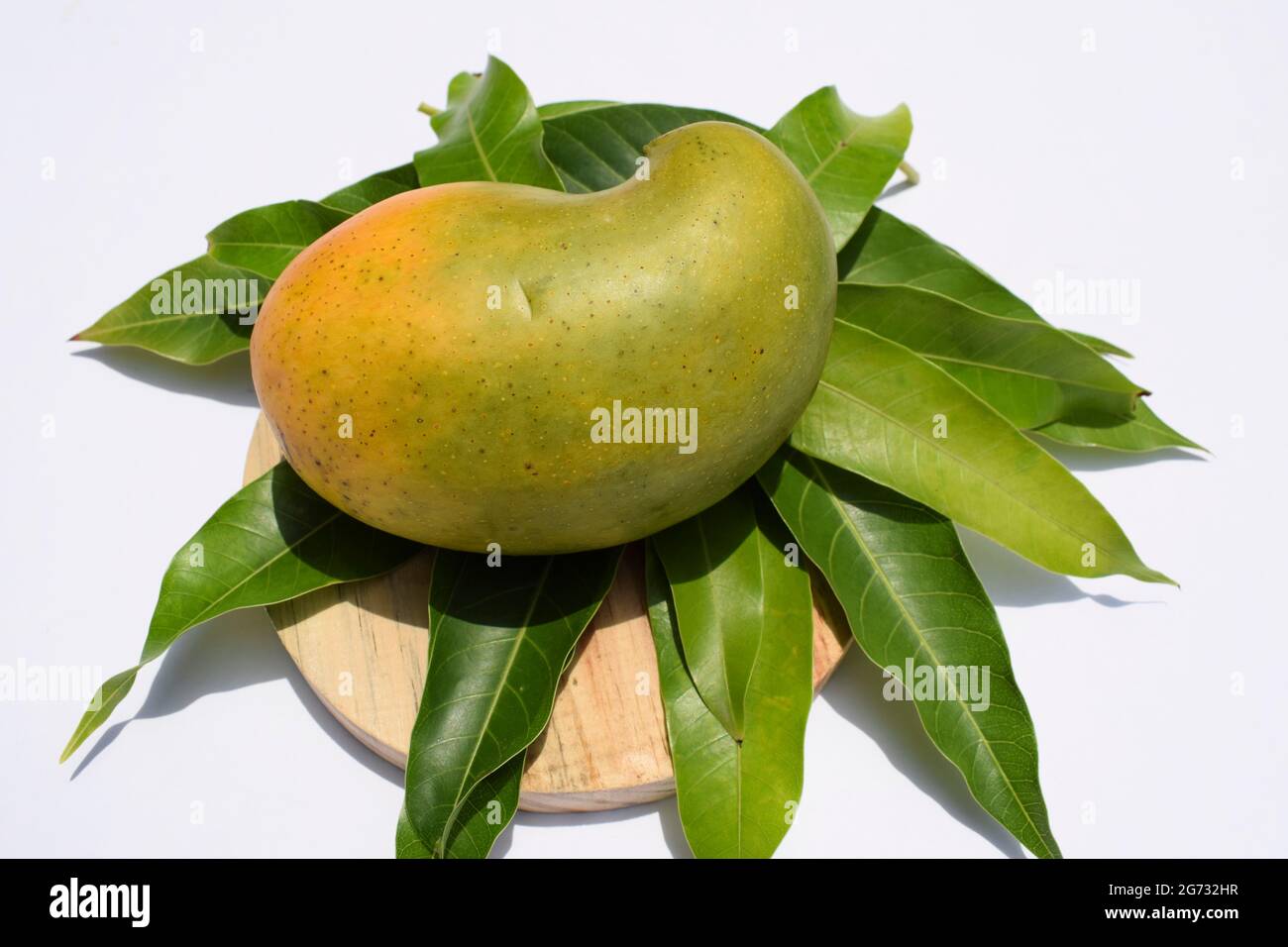 Delicious Kesar Mango variety from parts of Gujarat and maharastra. Gir