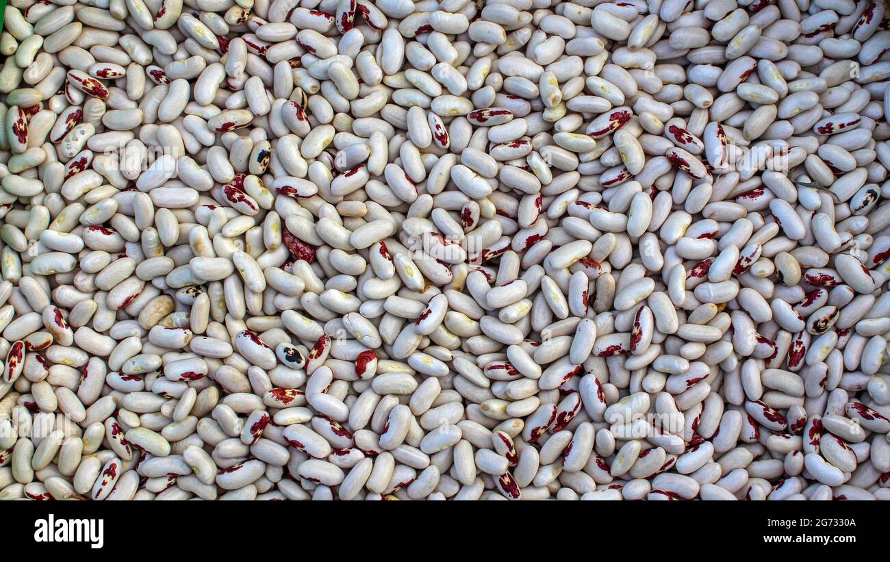 White beans background, many white dry beans, top view. Whole grain. Healthy protein food. Organic agricultural products. Stock Photo