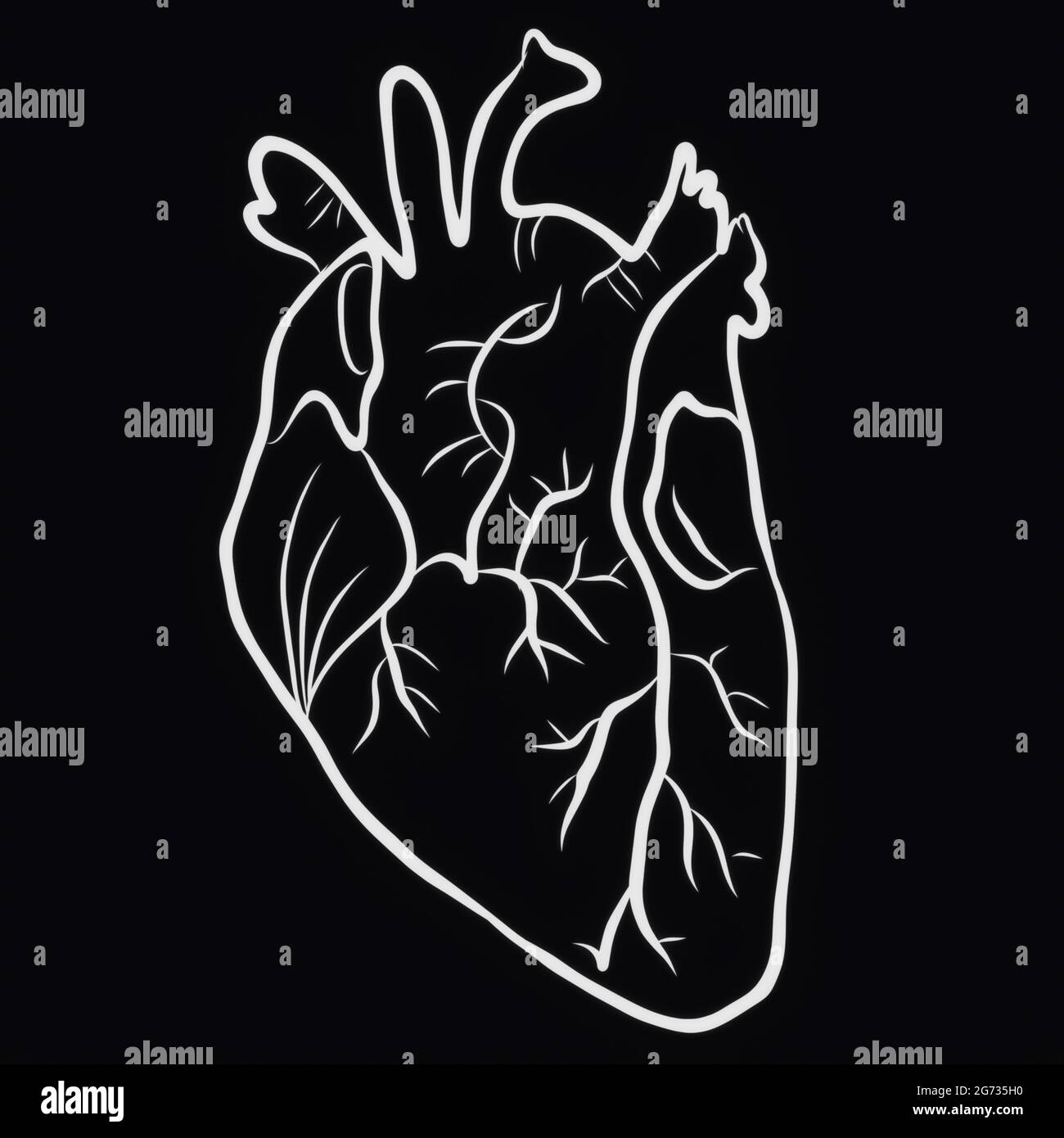 Simple illustration of a white anatomical heart on a black background ...