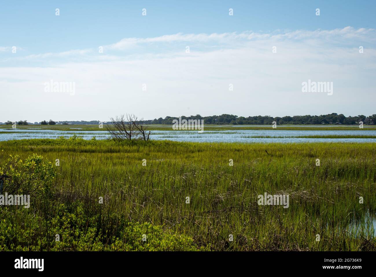 James Island, South Carolina is a barrier island near Charleston SC