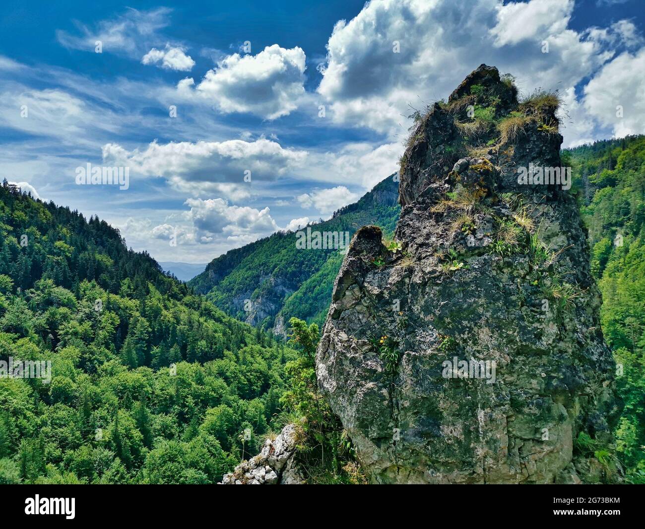 Wild rock above the valley in Slovak mountains Stock Photo