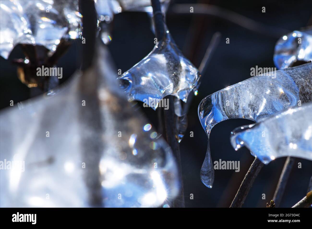 Arctic aesthetic hi-res stock photography and images - Alamy