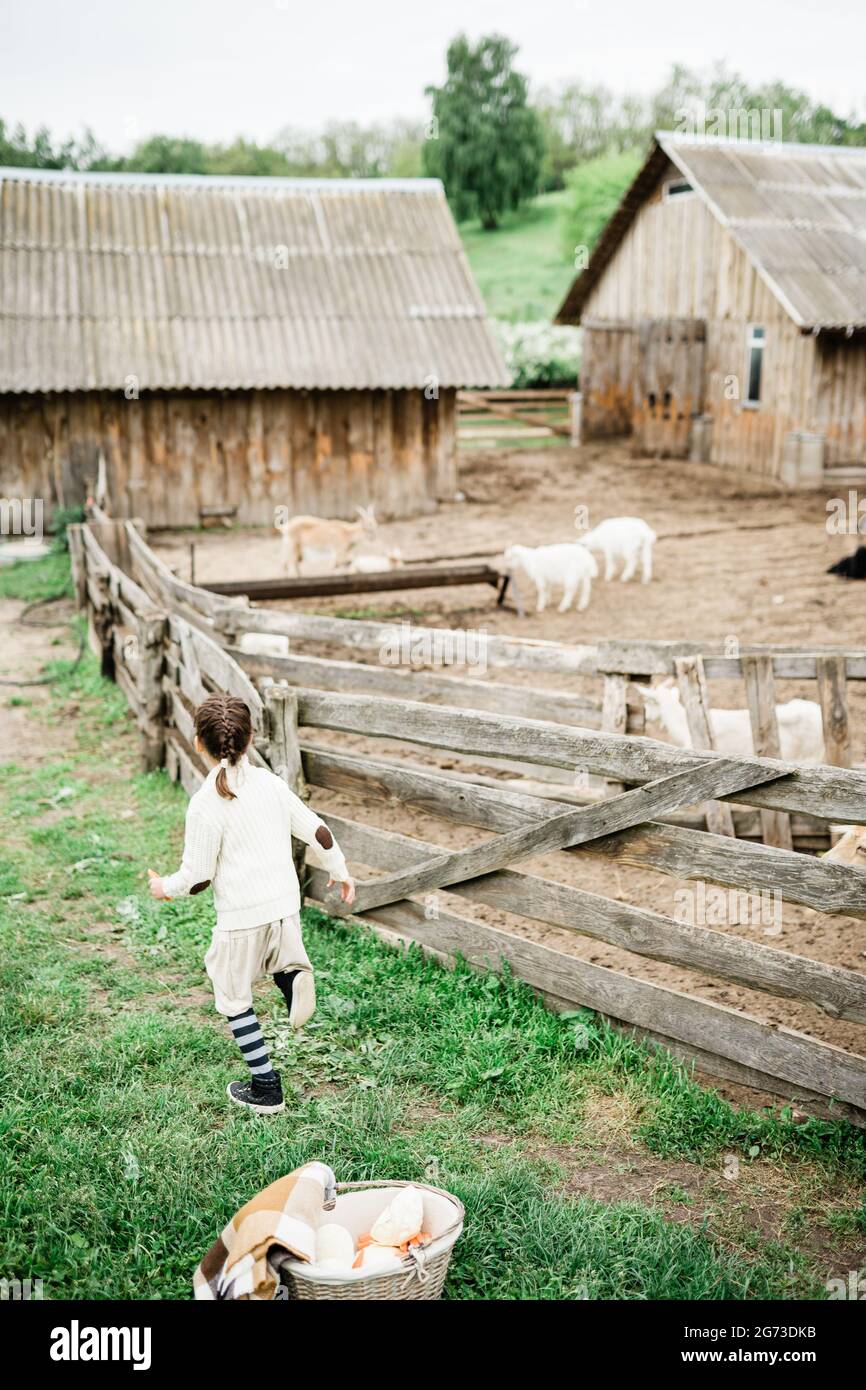 Little girl feeding goats on the farm Stock Photo - Alamy