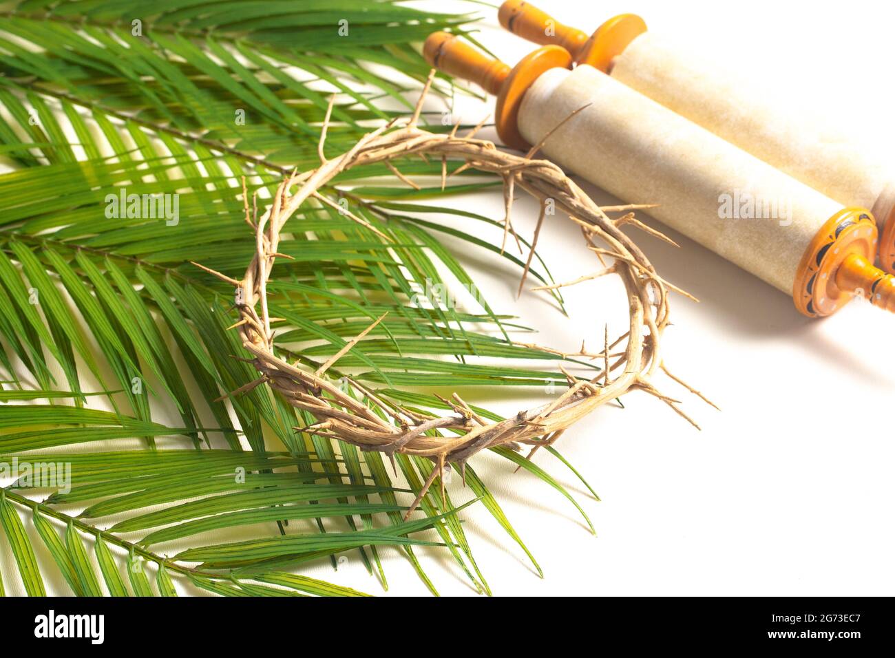 The Crown of Throns and a Scroll on a Bed of Palm Branches Stock Photo ...