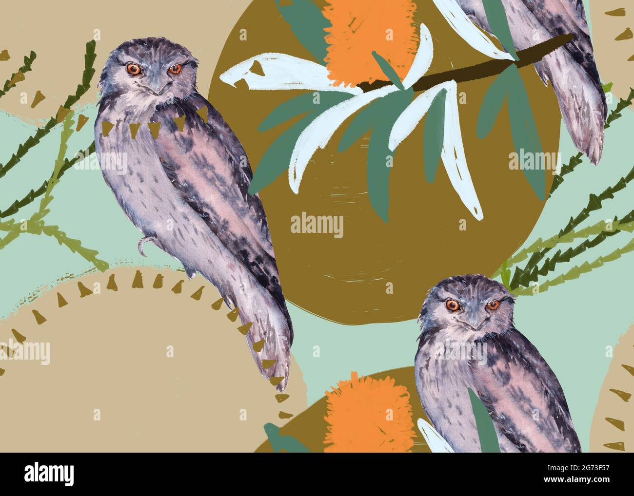 Background with australian bird. Seamless pattern Stock Photo - Alamy