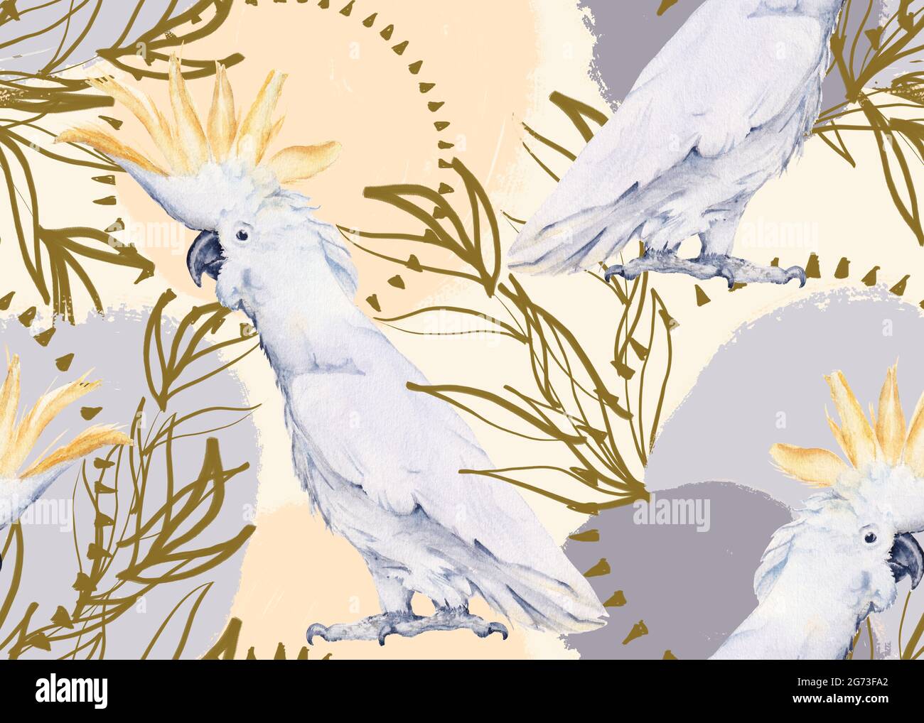 Background with australian bird. Seamless pattern Stock Photo - Alamy