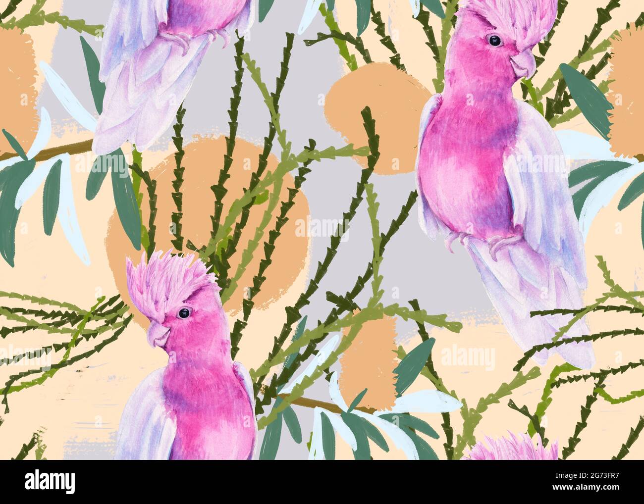 Background with australian bird. Seamless pattern. Stock Photo