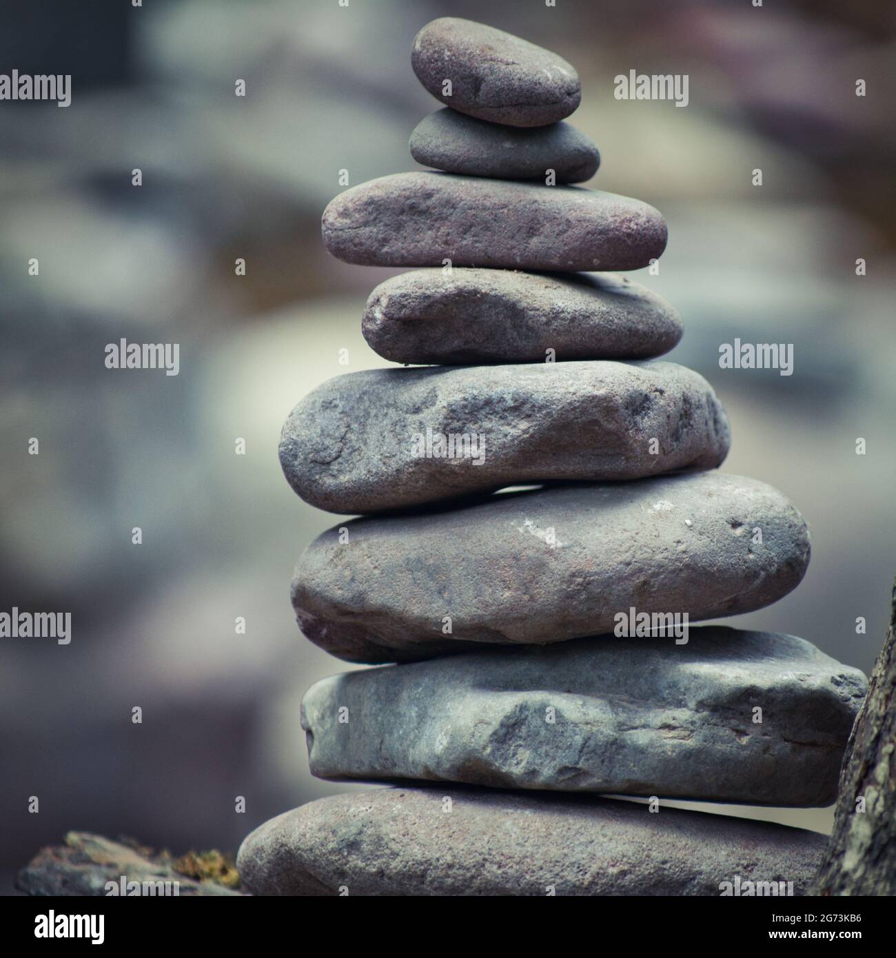 Rocks on the beach Stock Photo - Alamy