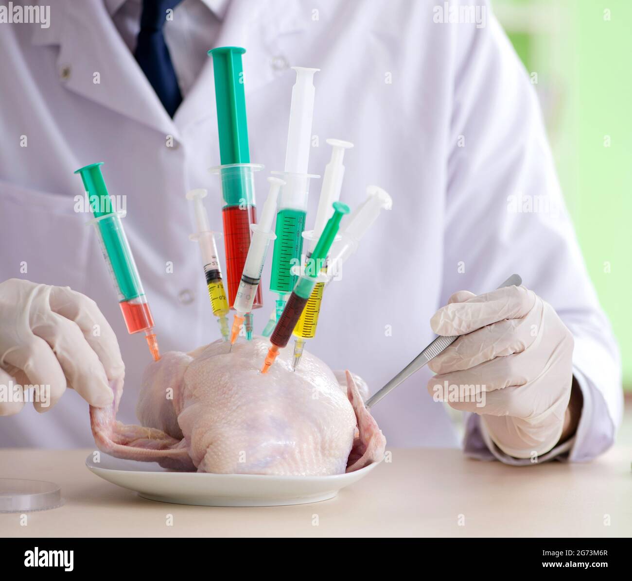 The lab assistant testing gmo chicken Stock Photo - Alamy