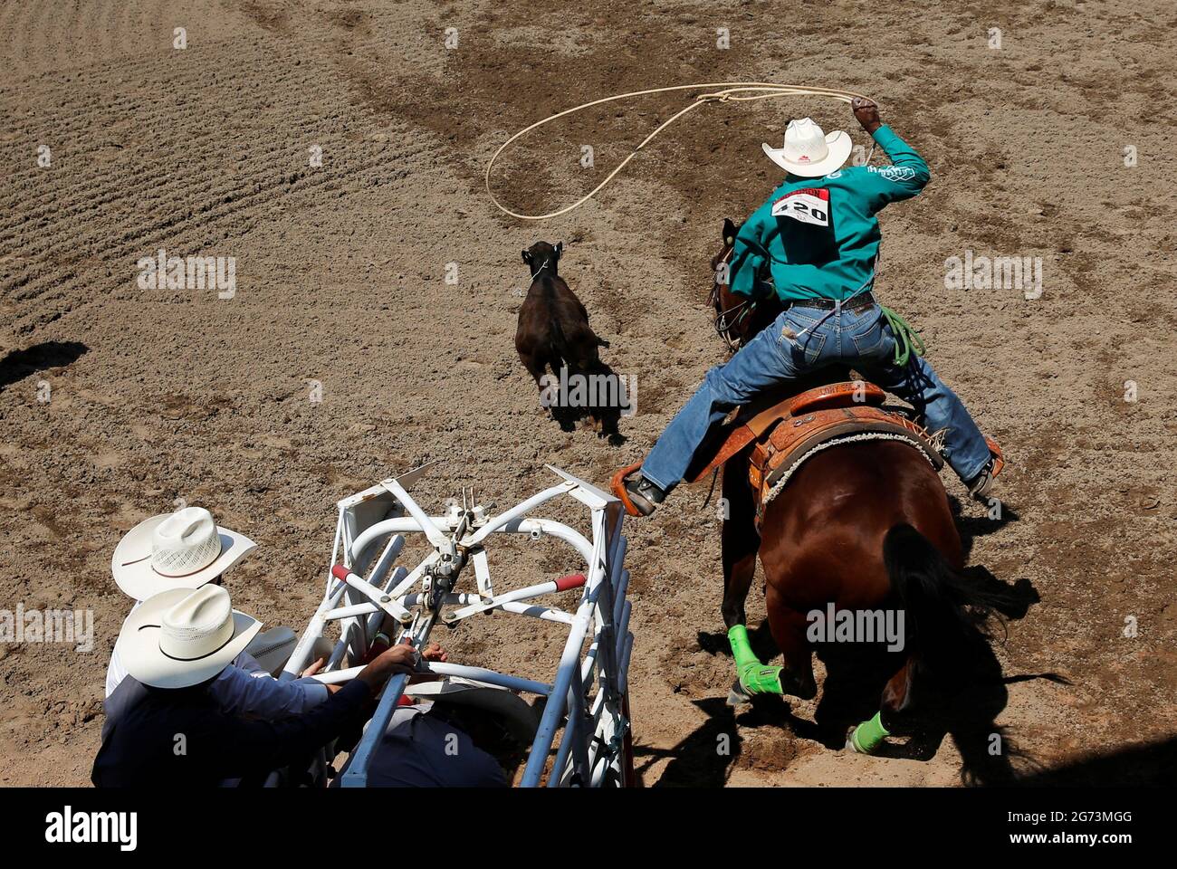Calf Roping Texas Hi Res Stock Photography And Images Alamy